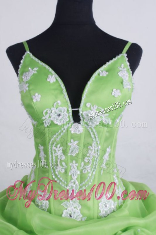 Spaghetti Straps Pick-ups Apple Green Quinceanera Party Dress with Handle Flowers